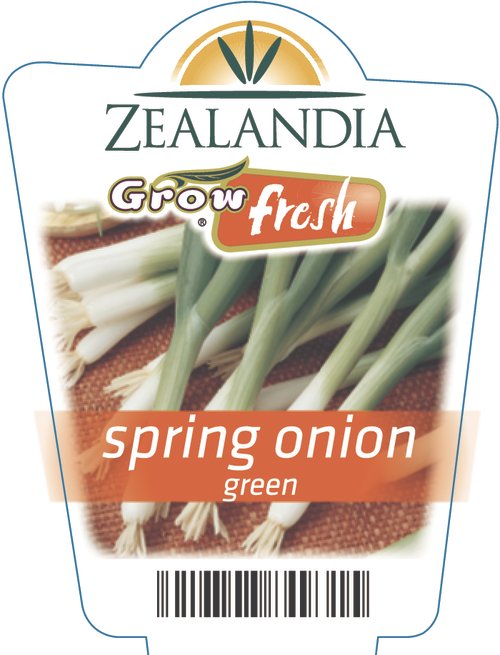 Spring Onion Green