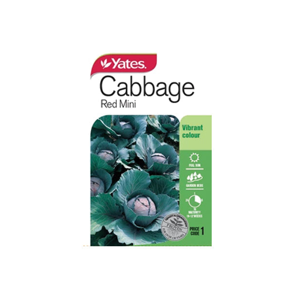 Cabbage Red Mini