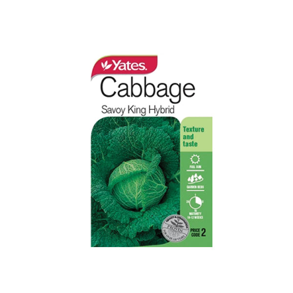 Cabbage Savoy King
