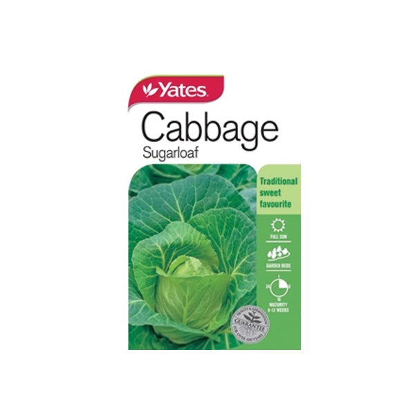 Cabbage Sugarloaf