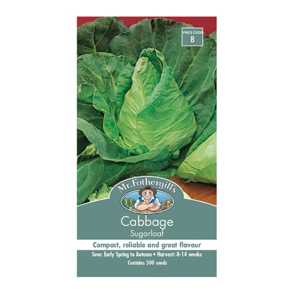 Cabbage Sugarloaf Seed