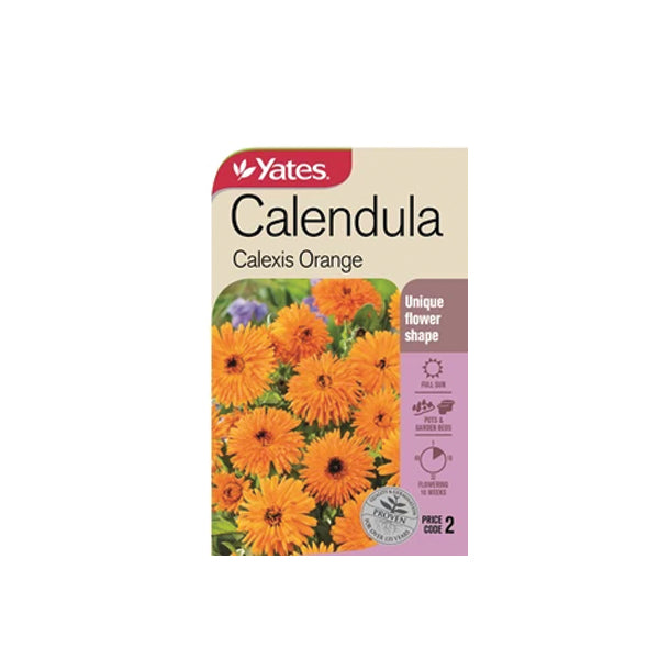 Calendula Calexis Orange