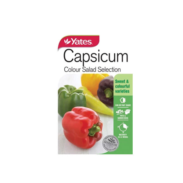 Capsicum Colour Salad