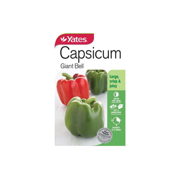 Capsicum Giant Bell