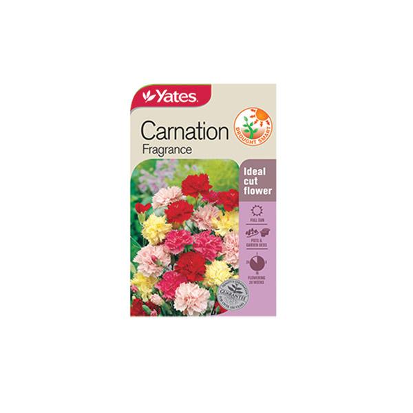 Carnation Fragrance