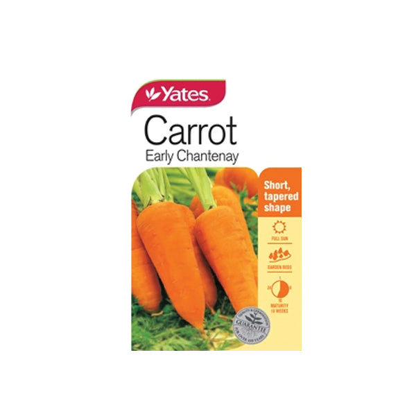 Carrot Early Chantenay