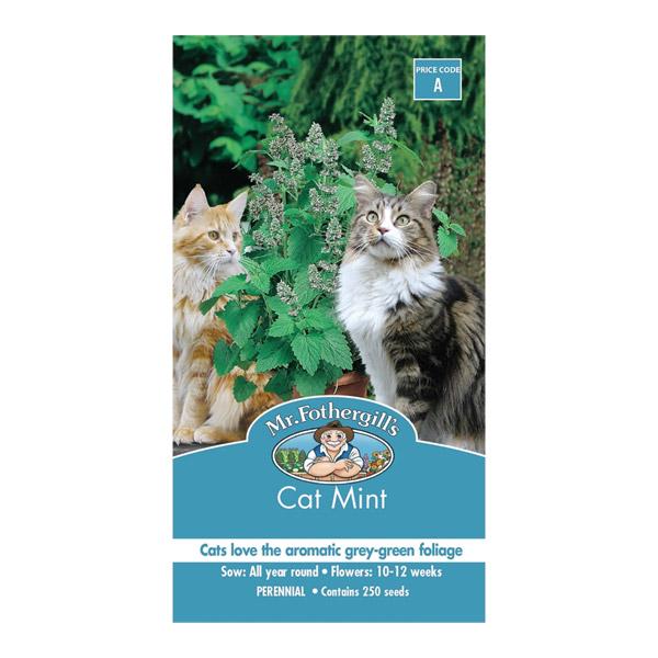 Cat Mint Seed