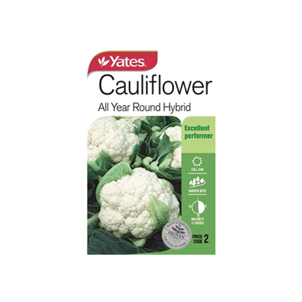 Cauliflower All Year Round
