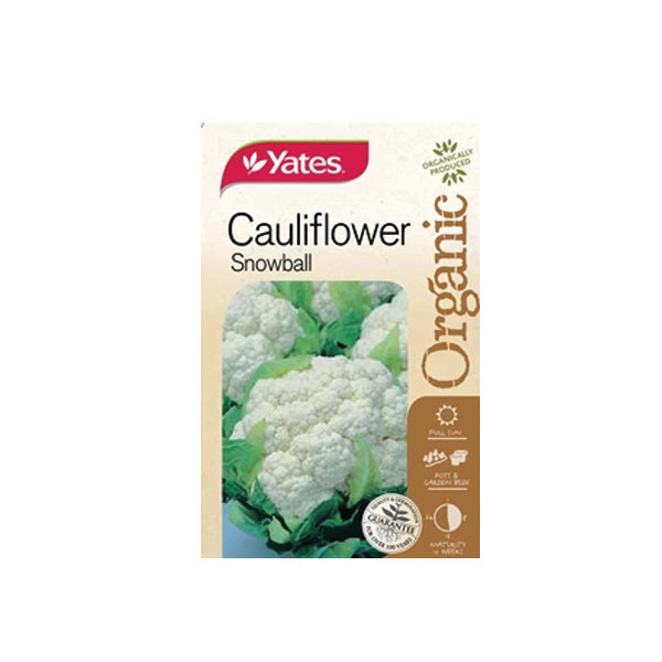 Cauliflower Snowball Organic