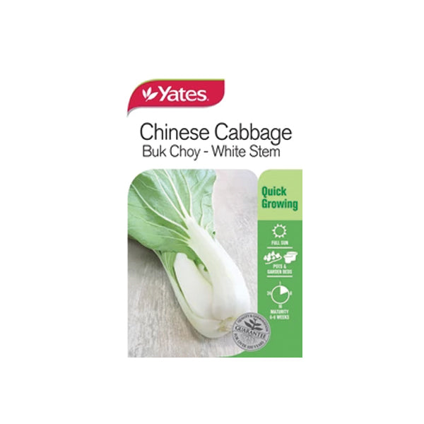 Chinese Cabbage Buk Choy