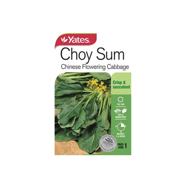 Choy Sum Chinese Flowering Cabbage