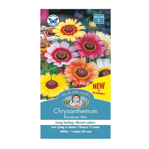 Chrysanthemum Rainbow Mix Seed