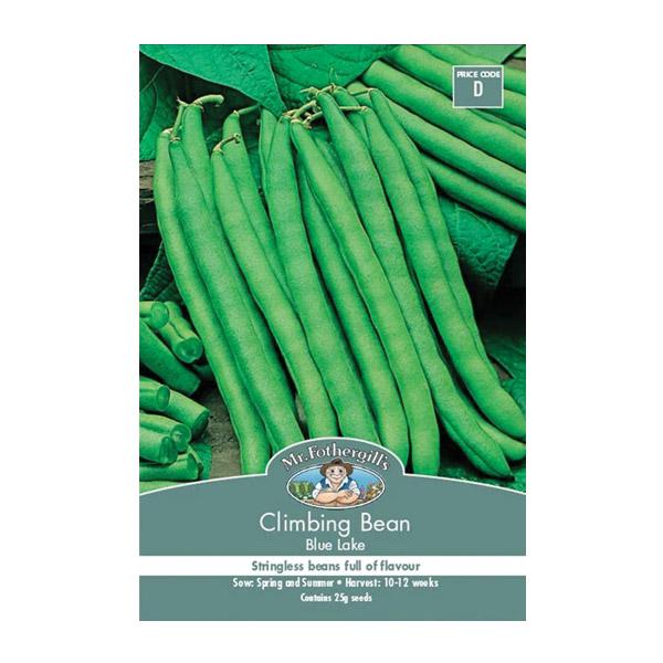 Climbing Bean Blue Lake Seed