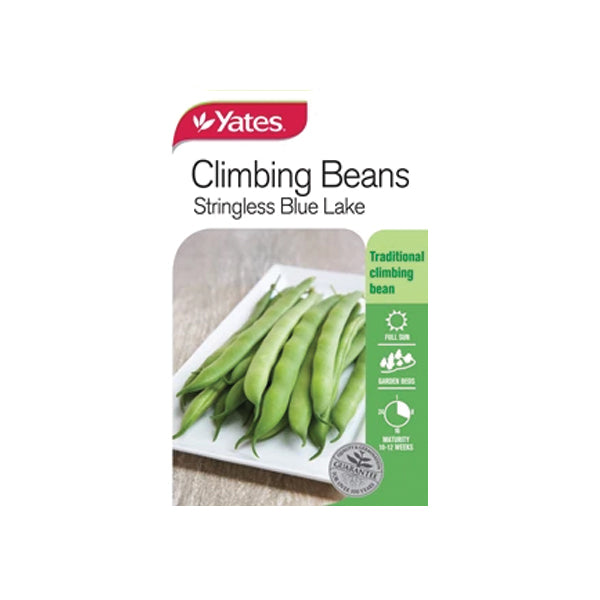 Bean Climbing Stringless Blue Lake