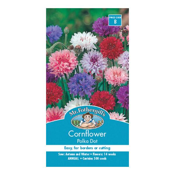 Cornflower Polka Dot Seed