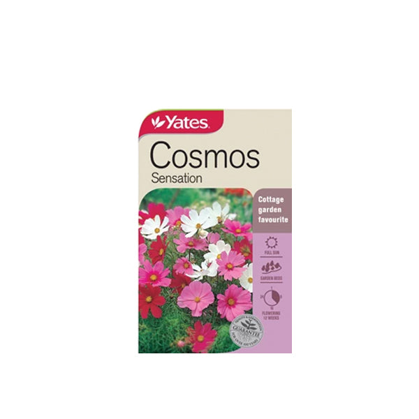 Cosmos Sensation