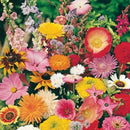 Cottage Garden Mix Seed