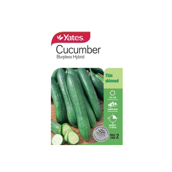 Cucumber Burpless Hybrid