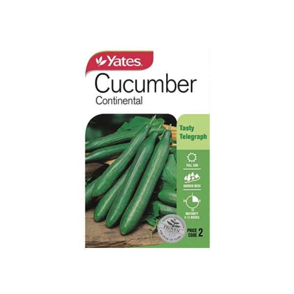 Cucumber Continental