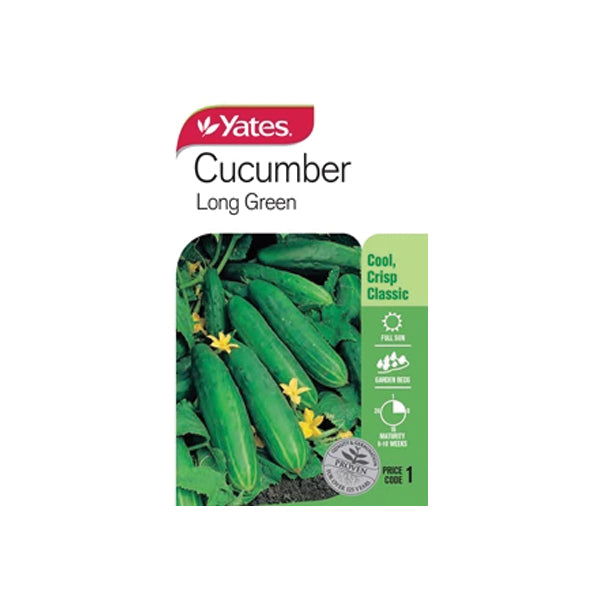 Cucumber Long Green