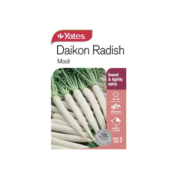 Daikon Radish