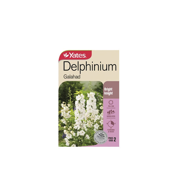 Delphinium Galahad