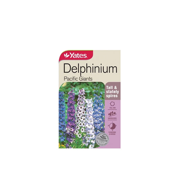 Delphinium Pacific Giant