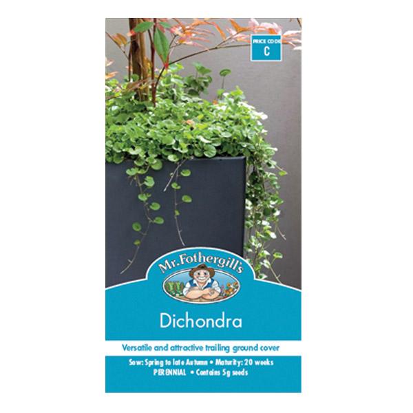Dichondra Seed