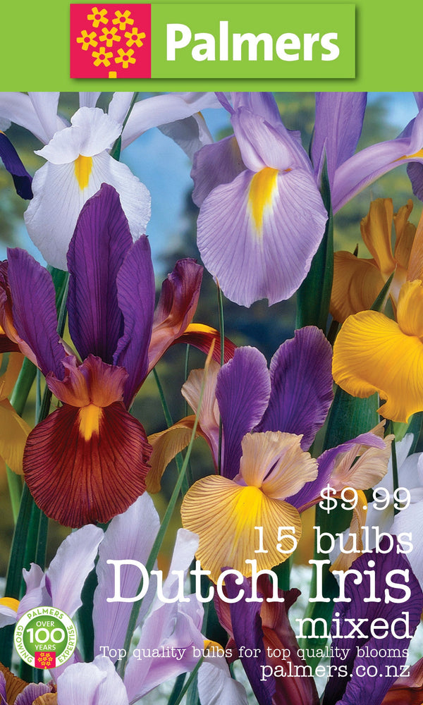 Palmers Dutch Iris Bulbs - 15PK