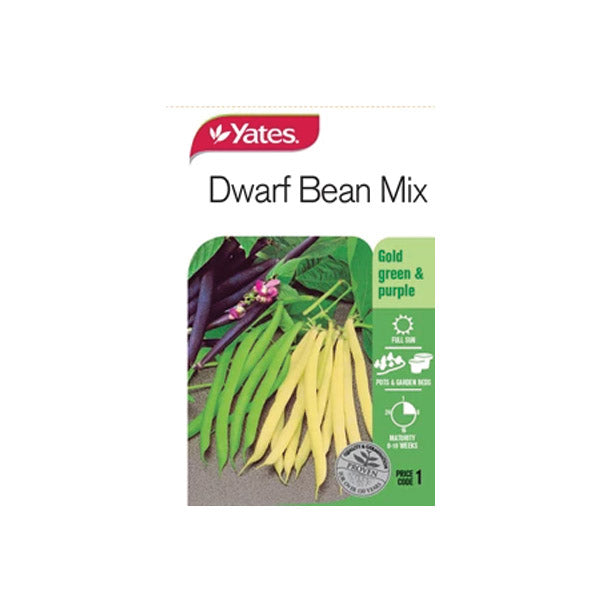 Bean Dwarf Mix