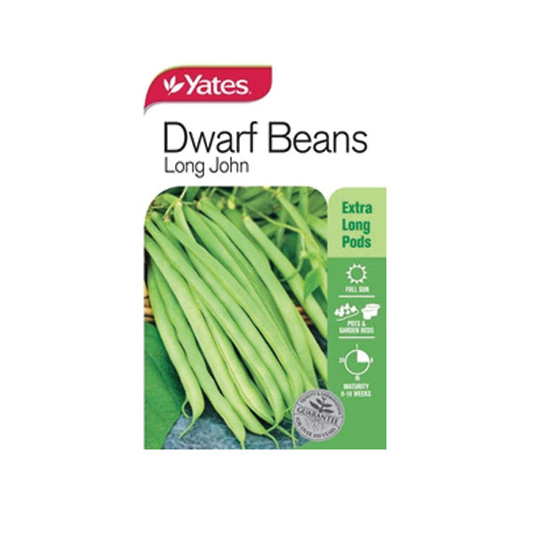 Beans Dwarf Long John