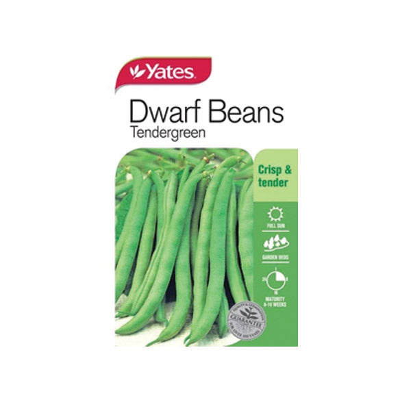 Bean Dwarf Tendergreen