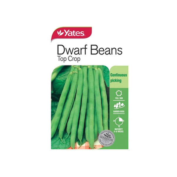 Beans Dwarf Topcrop