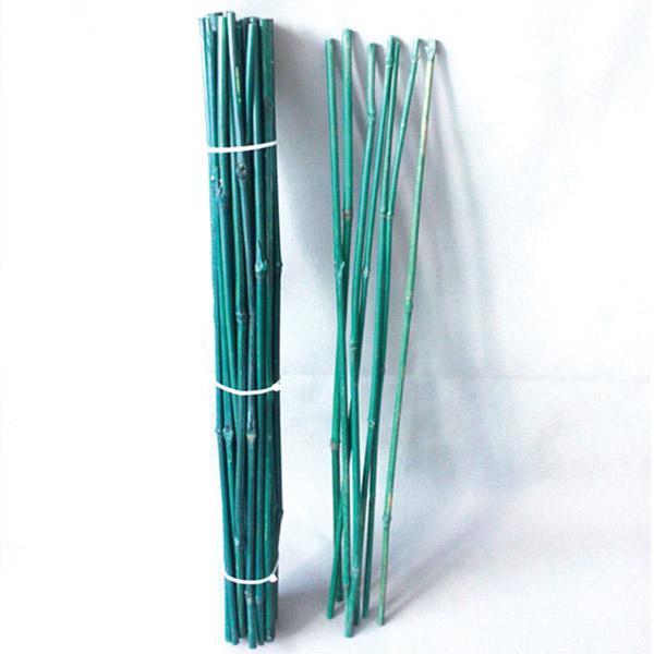 Bamboo Cane Green - 1.2m Pack of 10