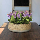 Ro-Grass Low Round Pot Natural - Small