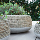 Ro-Grass Low Round Pot Natural - Medium