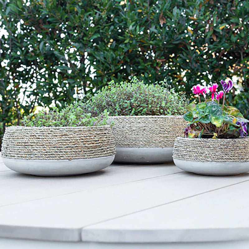 ceramic plant pots nz Ro-Grass Low Round Pot Natural