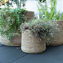 Ro-Grass Square Pot Natural - Medium