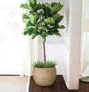 Ro-Grass Pot - Large