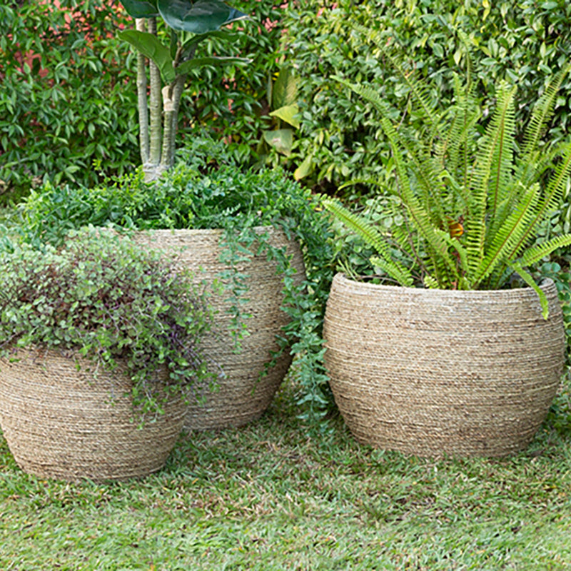Ro-Grass Pot - Large