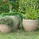 Ro-Grass Pot - Small