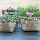 Elimina Oval Pot - XLarge