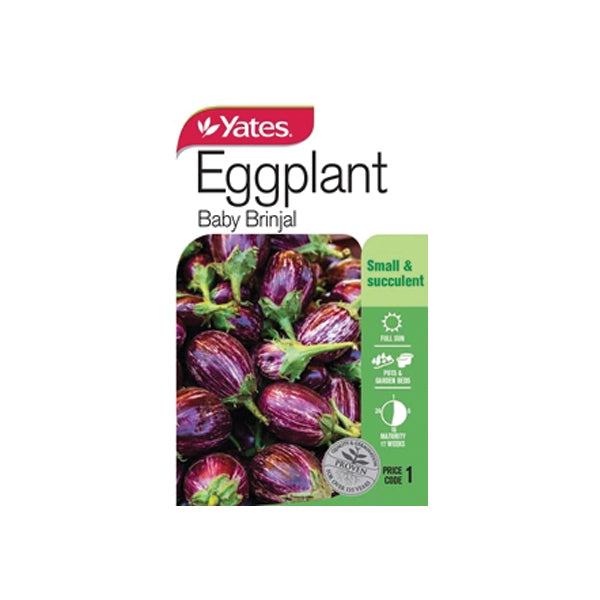 Eggplant Baby Brinjal