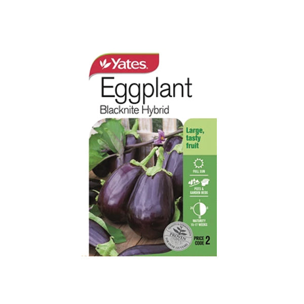 Eggplant Blacknite Hybrid