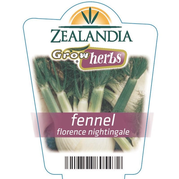 Fennel Florence Nightingale Herb Punnet