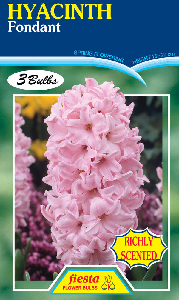 Hyacinth Fondant 3PK