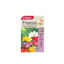 Freesia Giant Masterpiece