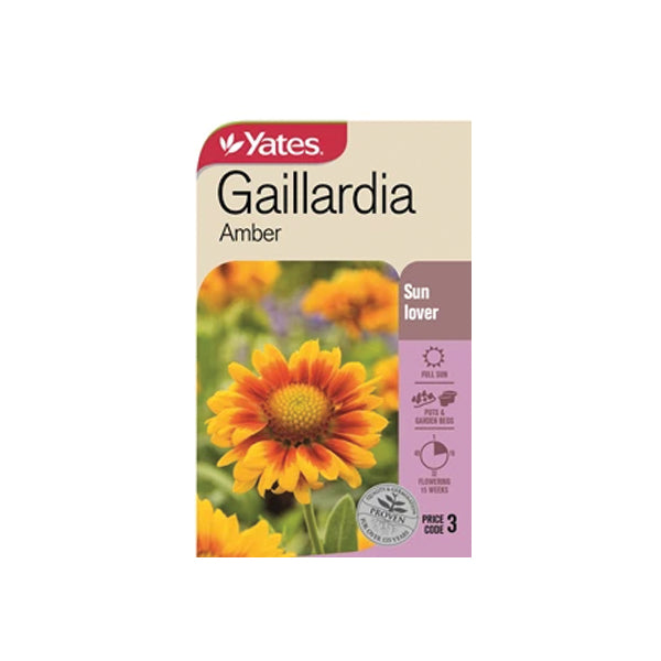 Gaillardia Amber