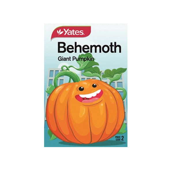 Behemoth Giant Pumpkin - Kids Seeds