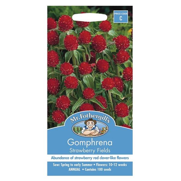 Gomphrena Strawberry Fields Seed